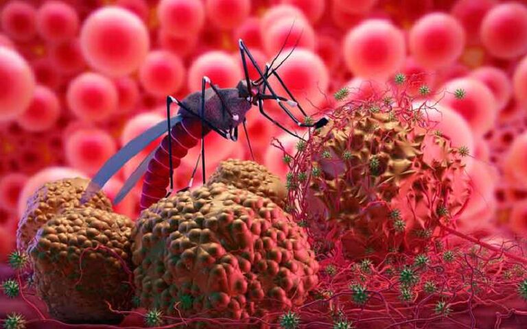 Este es el reporte de la Campaña Nacional contra el dengue en Nicaragua