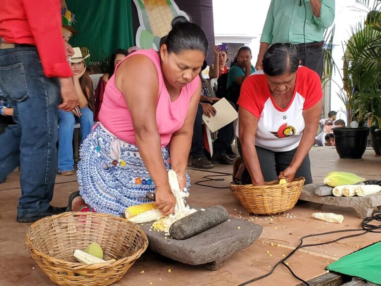 Finaliza Feria del Maíz en Matagalpa