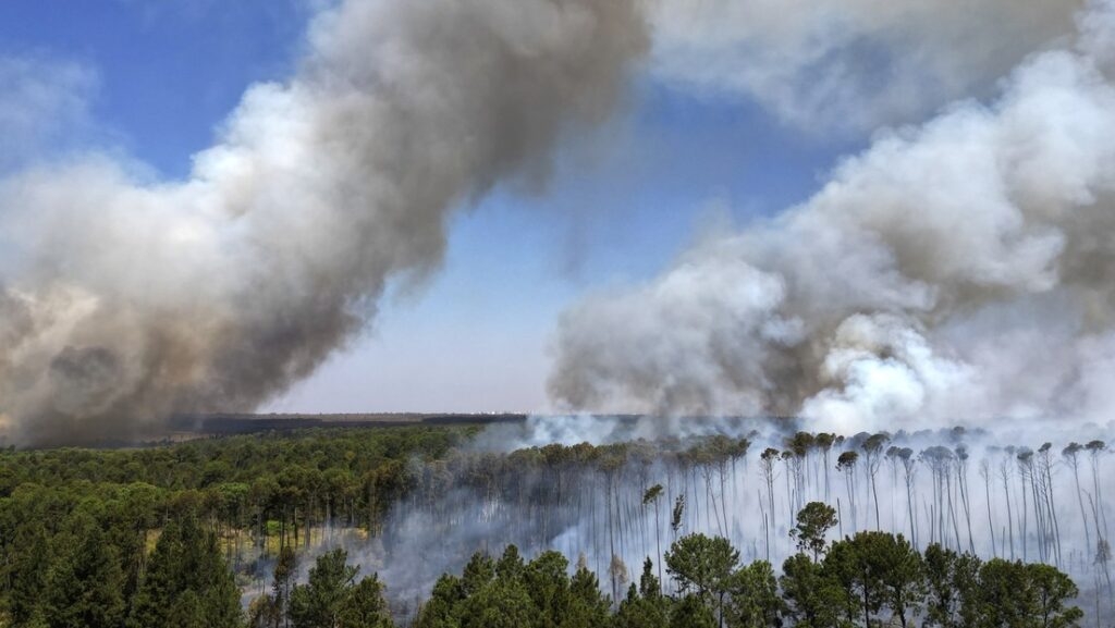 Incendios en Brasil aumentaron las emisiones de carbono