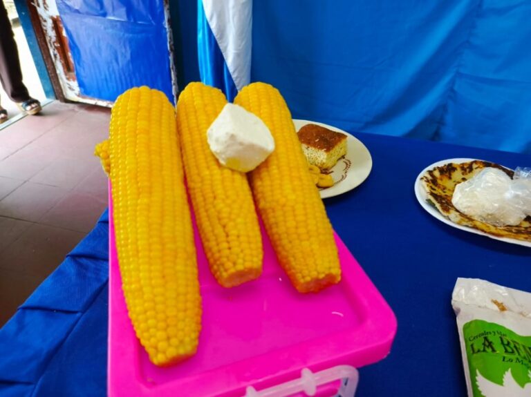 Realizan concurso “El Maíz alimento de Mi Pueblo”