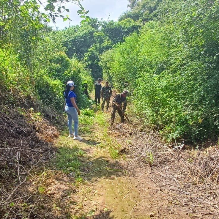Realizan jornada de reforestación en Apoyeque