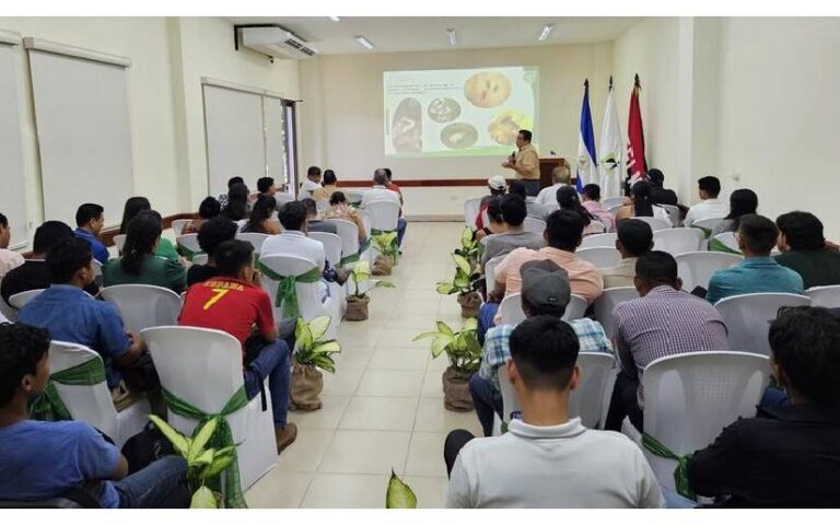 Desarrollan Congreso Nacional de Plátano en el departamento de Rivas