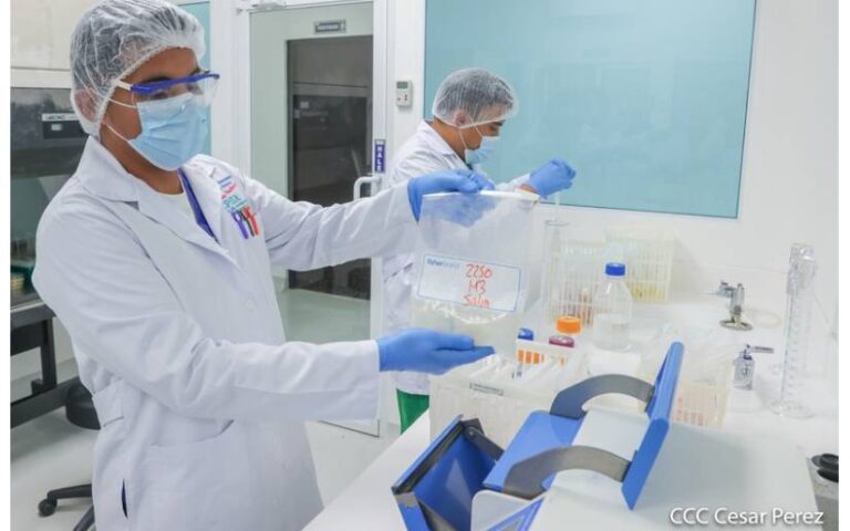 Innovadoras aplicaciones móviles impulsan la protección fitosanitaria en Nicaragua