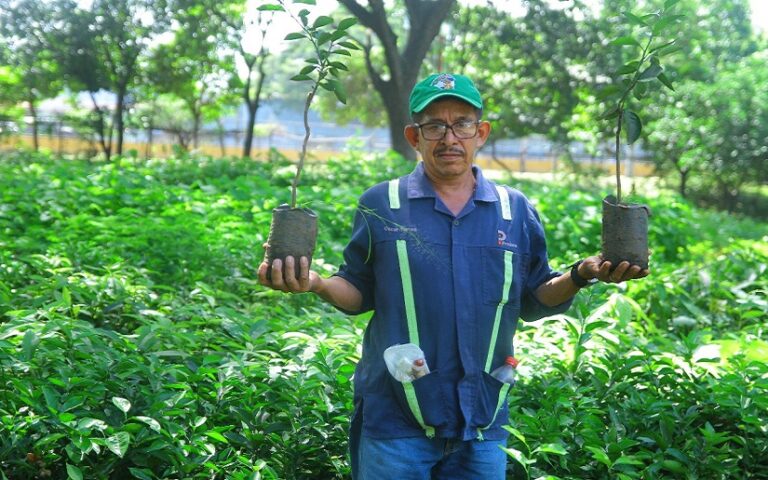 Sistema Nacional de Producción avanza en la gestión sostenible de los recursos naturales