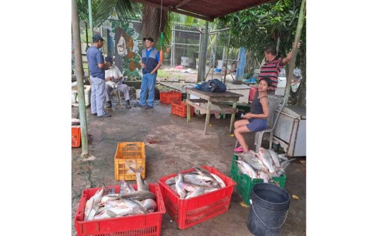 Inpesca brinda acompañamiento para garantizar producción pesquera responsable en Río San Juan