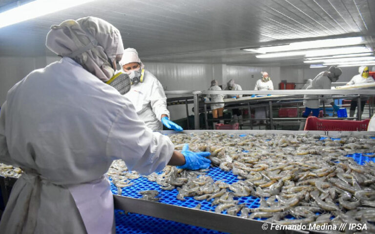 IPSA garantiza seguridad e inocuidad agroalimentaria en Nicaragua