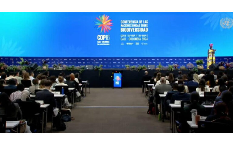Delegación nicaragüense en Convención de la ONU sobre Diversidad Biológica-COP16 