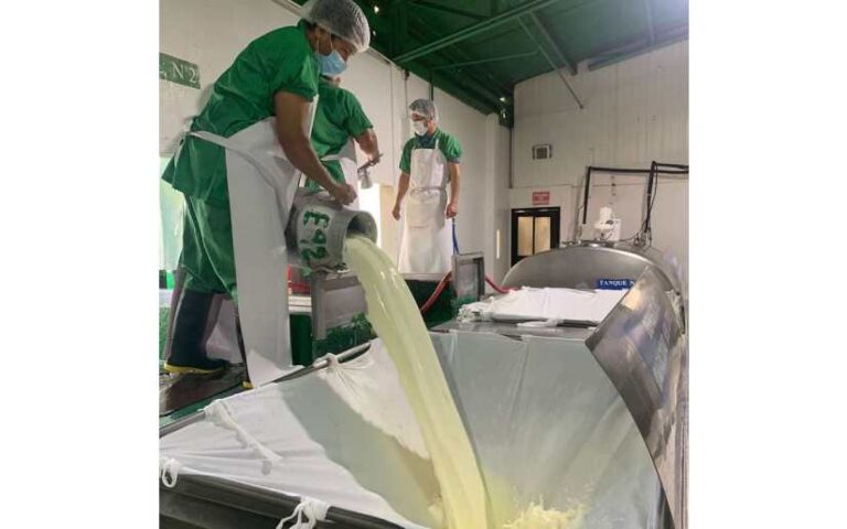 Promueven buenas prácticas y alternativas para incrementar la producción de leche en Nicaragua
