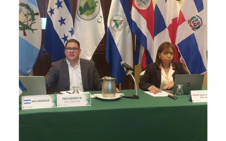 MAG en Reunión Extraordinaria de Ministros de Agricultura del Consejo Agropecuario 