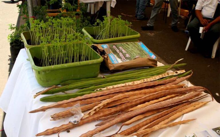 Universidad Nacional Agraria promueve innovación y formación técnica con diversos eventos