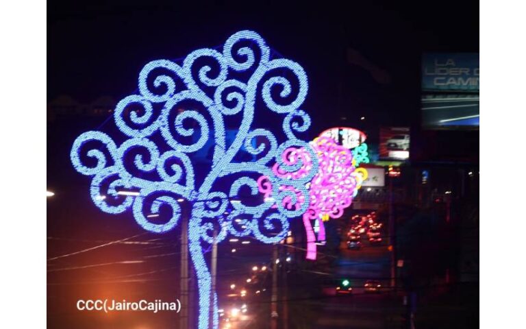 MÁS ÁRBOLES DE LA VIDA, LUZ Y VERDAD