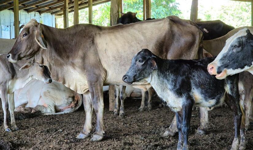 INTA entrega certificado a productores y estudiantes