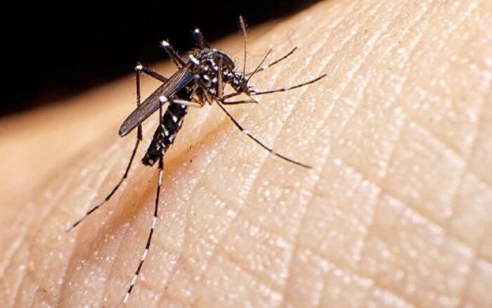 Se reporta disminución en casos de Dengue, Malaria y Neumonía