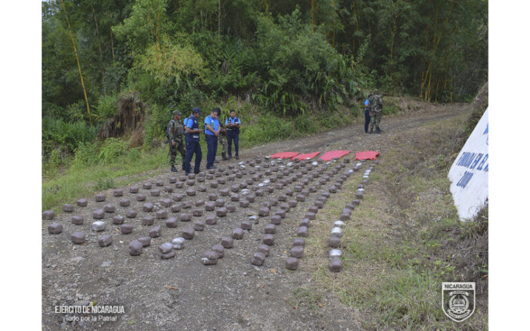 Primer Comando Militar Regional incauta droga en la comunidad Cerro Jesús, Jalapa