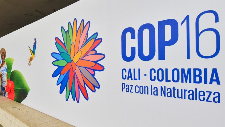Colombia es la sede de la Conferencia de las Partes (COP)