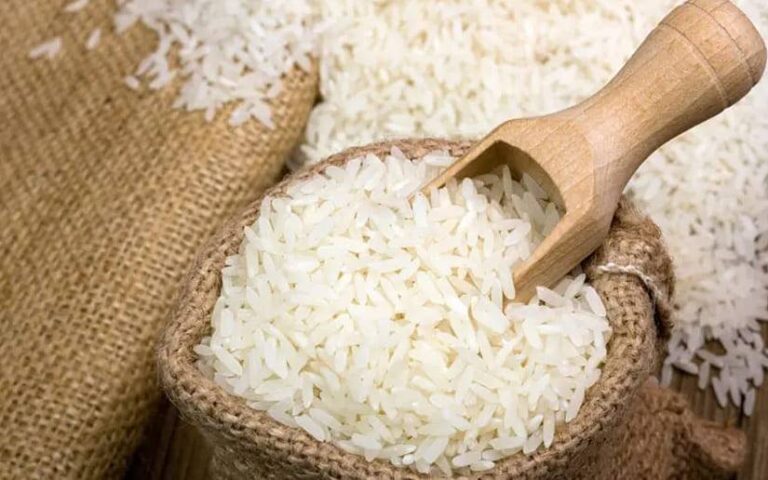 Siembra de arroz avanza en un 92% en Nicaragua, informa el MAG