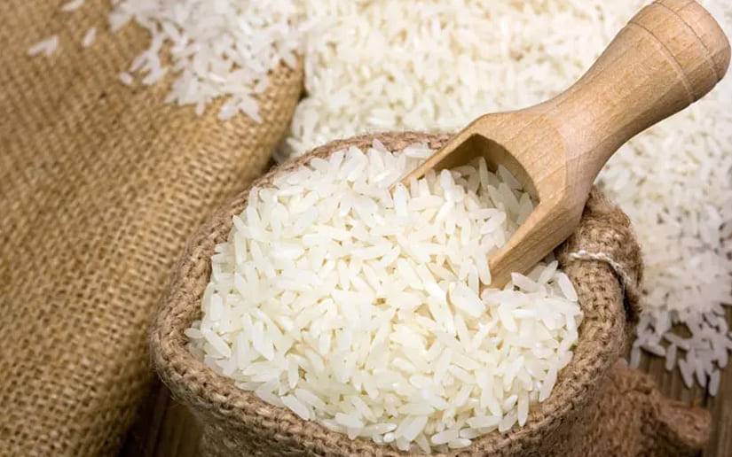 Siembra de arroz avanza en un 92% en Nicaragua, informa el MAG
