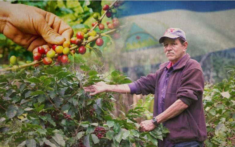 Presentarán Plan Interinstitucional de Protección y Seguridad de la Cosecha Cafetalera en Waswalí, Matagalpa