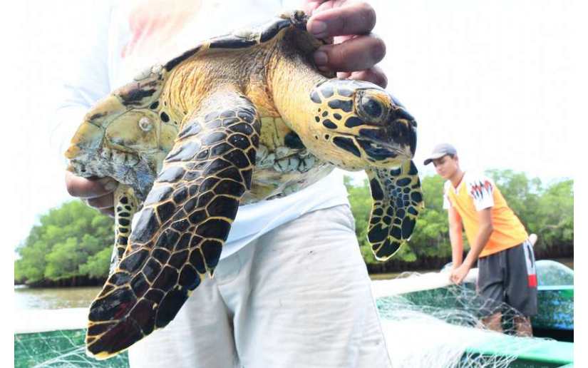 Autorizan investigaciones científicas sobre biodiversidad en áreas protegidas de Nicaragua