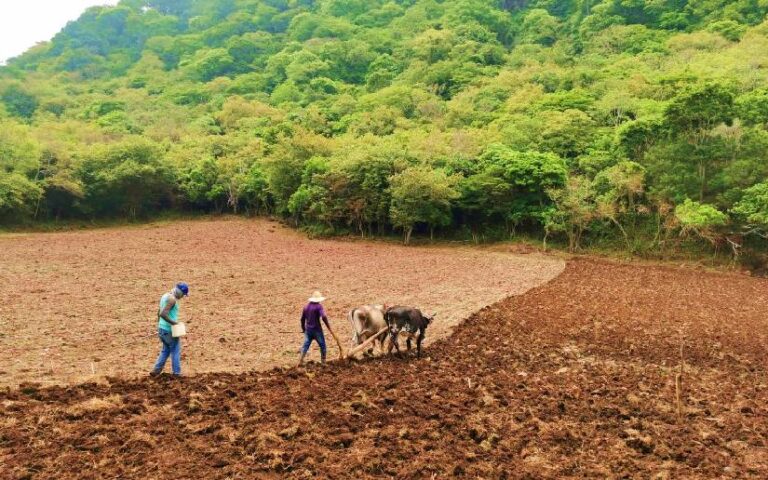 Sistema Nacional de Producción, Consumo y Comercio promueve la implementación de nuevas prácticas