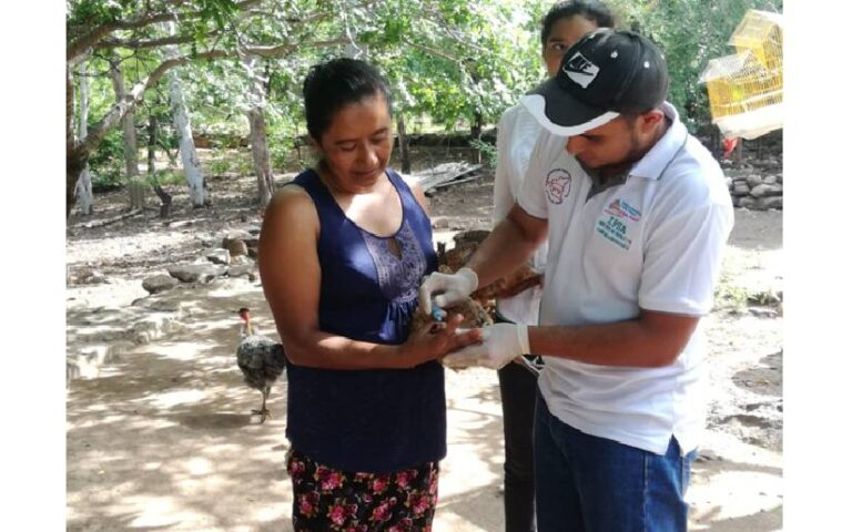 IPSA promueve el Programa de Vigilancia Epidemiológica para la Prevención las Enfermedades en Granjas Avícolas
