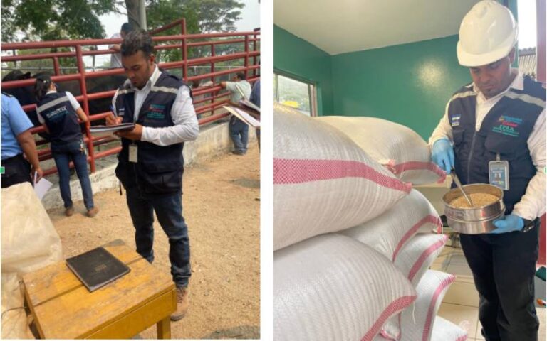 IPSA facilita y agiliza exportación de productos agropecuarios