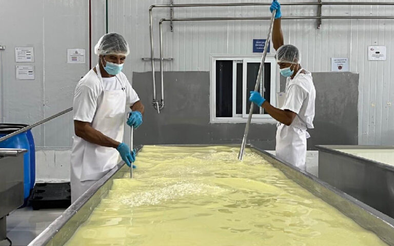 Producción de queso en Nicaragua alcanza las 141.3 millones de libras de enero a octubre 2024