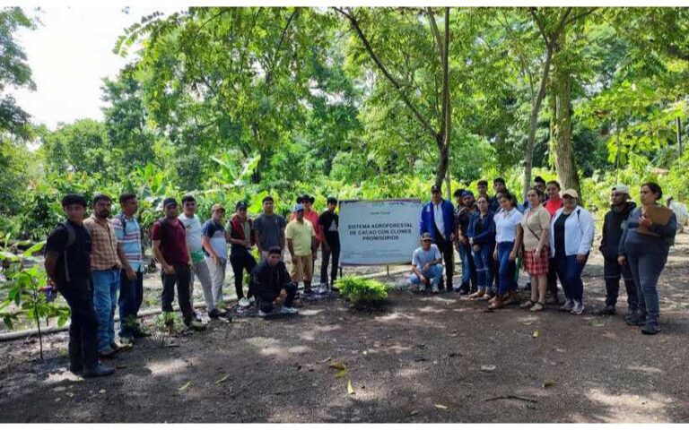 INTA presenta sistema de riego eficiente para cultivos de cacao en Pantasma, Jinotega