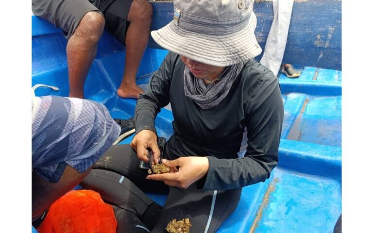 Inpesca valida cultivos de Ostión de mangles en Cayos de Perlas 