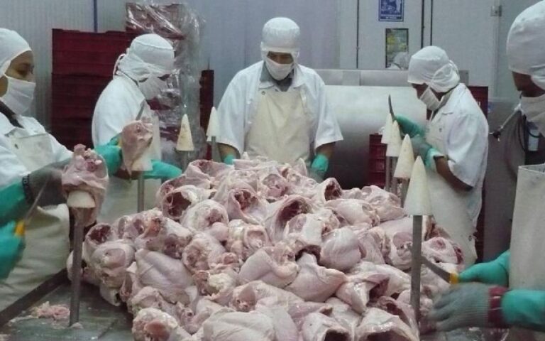 MAG contabiliza una producción de carne de pollo de 325.4 millones de libras de enero a octubre 2024