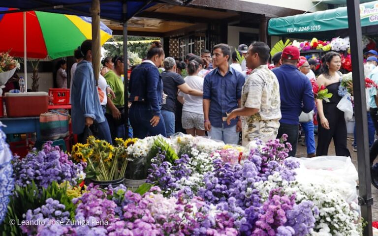 Gran afluencia en los cementerios del país