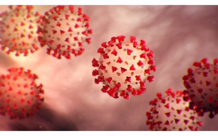 Nicaragua: Situación del coronavirus al 31 de Diciembre 2024