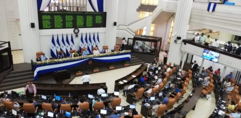 Diputados han aprobado 45 leyes y 22 decretos en el 2024