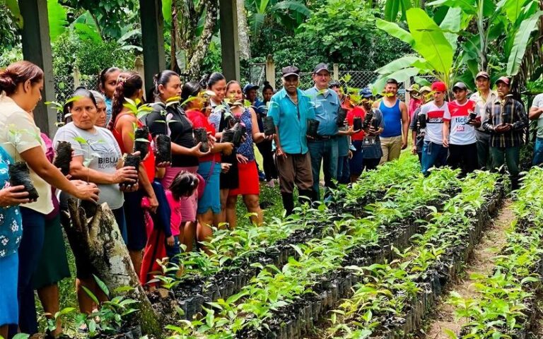Avanza la Campaña Nacional “Verde, que te quiero Verde” en Jinotega