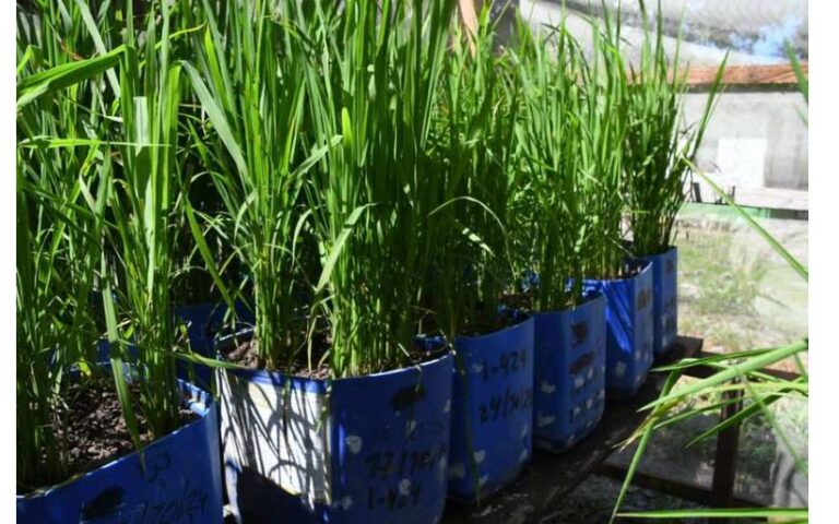 Marena visita Empresa GRUPO MAG en Hato Grande, Juigalpa