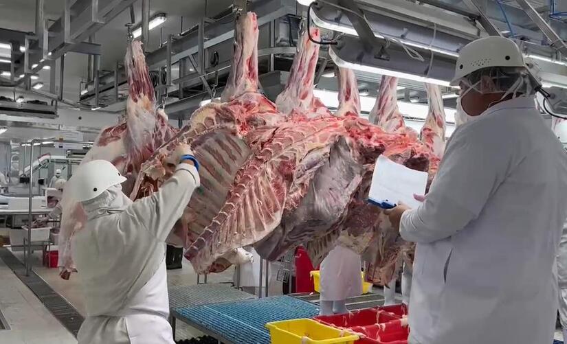 Producción Nacional de Carne Bovina en Nicaragua