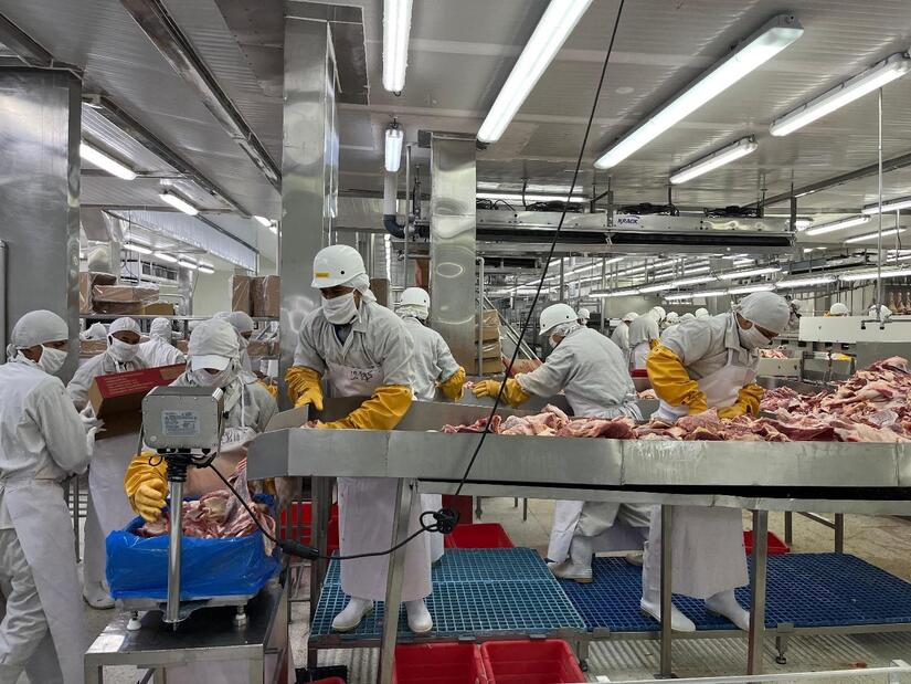 Producción Nacional de carne bovina en Nicaragua crece un 7.8% en 2024