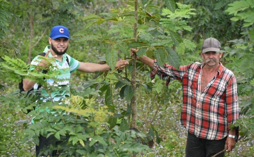 Productores junto a plantas