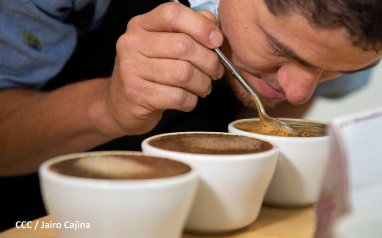 Anuncian lanzamiento de la Taza a la Excelencia 2025