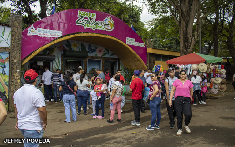 Familias disfrutan de la Naturaleza del Zoológico Nacional