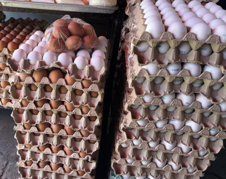 Nicaragua produce 34.4 millones de cajillas de  huevo en el 2024