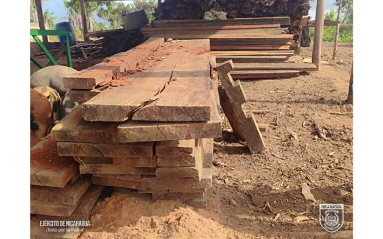 Pesca y madera ilegal: Resultados positivos del Ejército de Nicaragua en el Caribe Norte