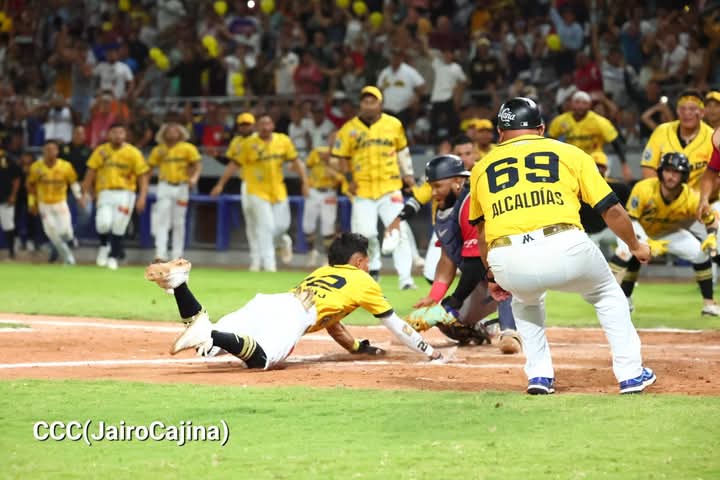Leones  obran el milagro y fuerzan el decisivo séptimo juego