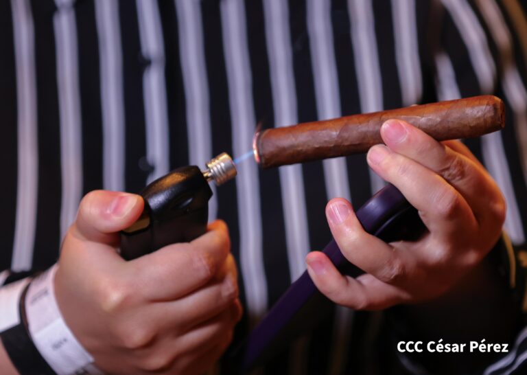 Concluye doceava edición del Festival Puro Sabor 2025