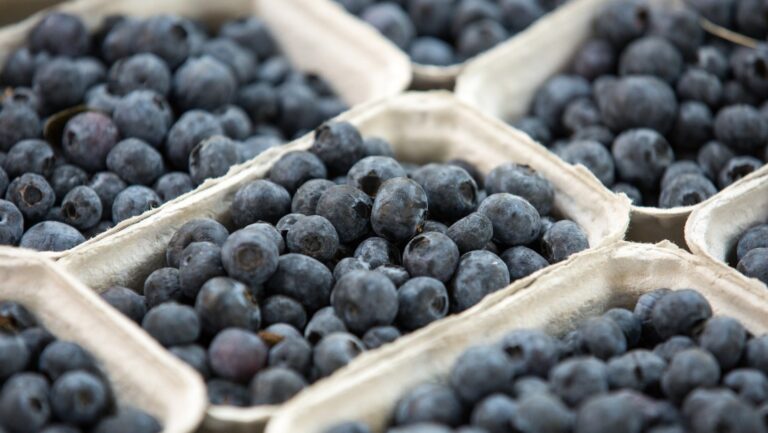 Contraen hepatitis A por comer arándanos de supermercado