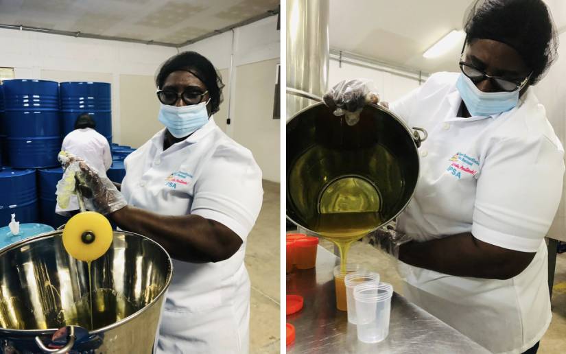 IPSA realiza controles sanitarios en Nicaragua