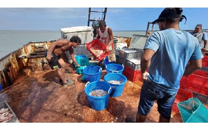 Inpesca realiza inspección a embarcación industrial