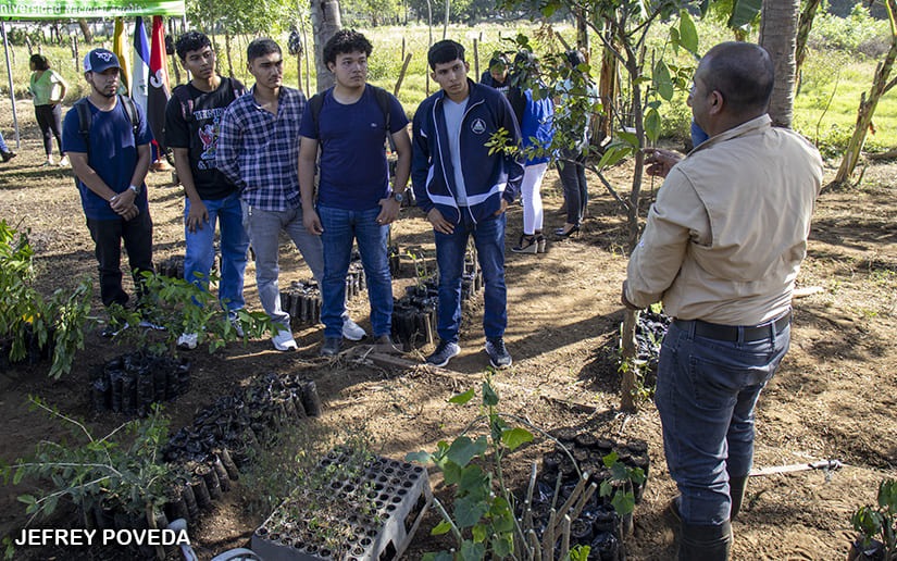 UNA inaugura un vivero de semillas forrajeras