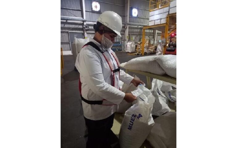 IPSA realiza inspección sanitaria permanente en establecimientos procesadores de maní crudo