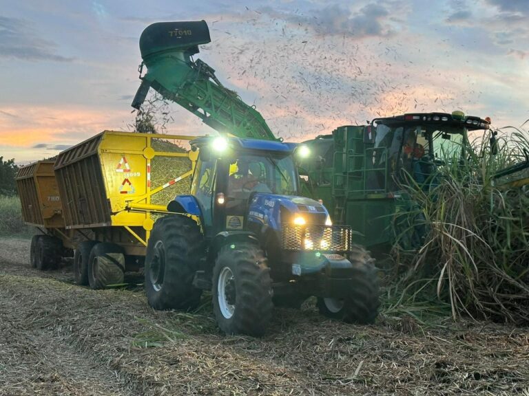 Producción Nacional de Azúcar registra un avance de 6.2 millones de quintales al 4 de febrero 2025